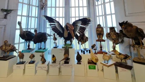 Nilgiri Mountain Railway